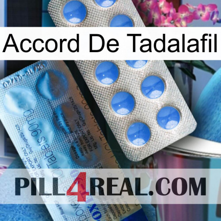 Tadalafil Accord 40